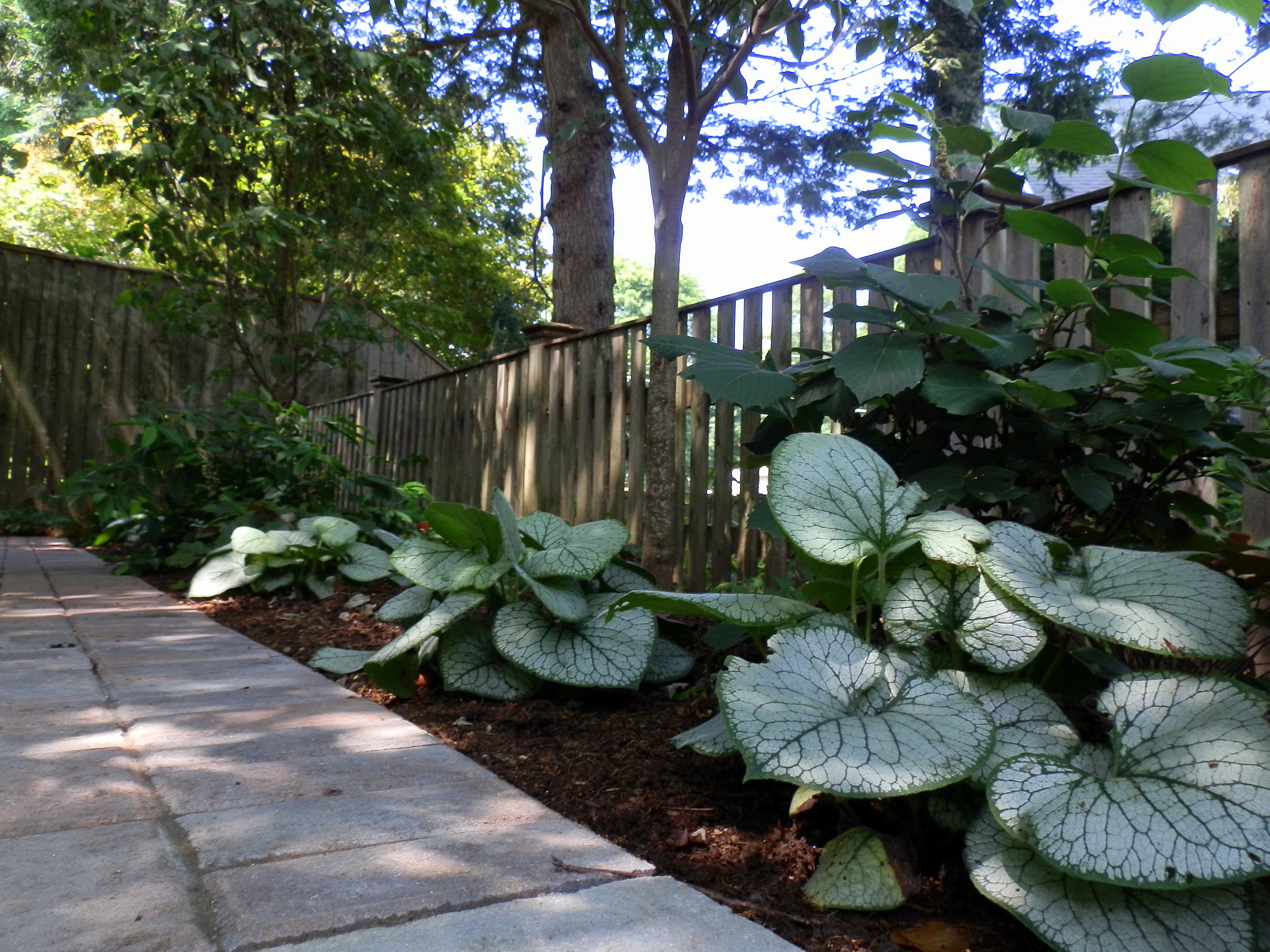 Customized Shade Garden Design