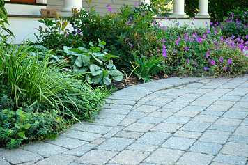 increase curb appeal