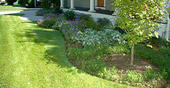 creating curb appeal