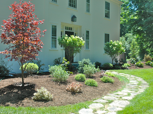 Natural Field Stone Walkway