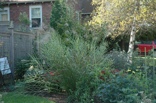 soundproofing a yard