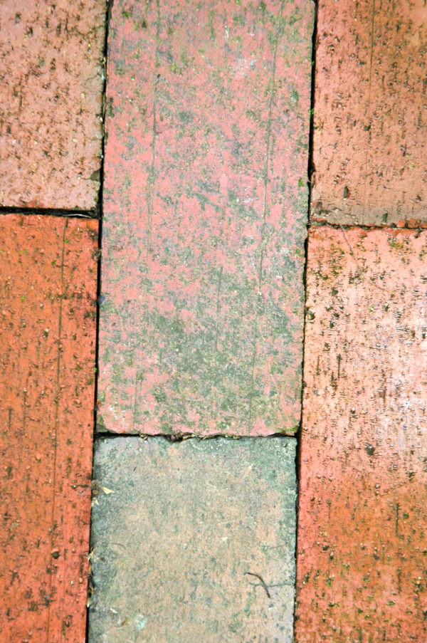 Patio Materials- What is the Cost of a Brick Patio?