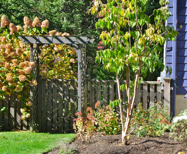 Front Entry Walkway in Watertown Massachusetts