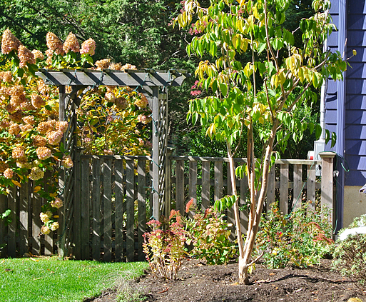 garden arbor designs in massachusetts