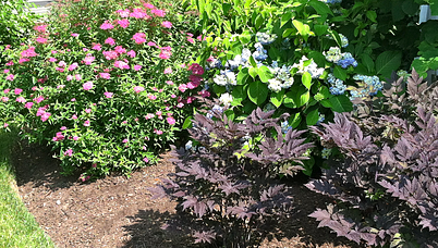 front yard garden design