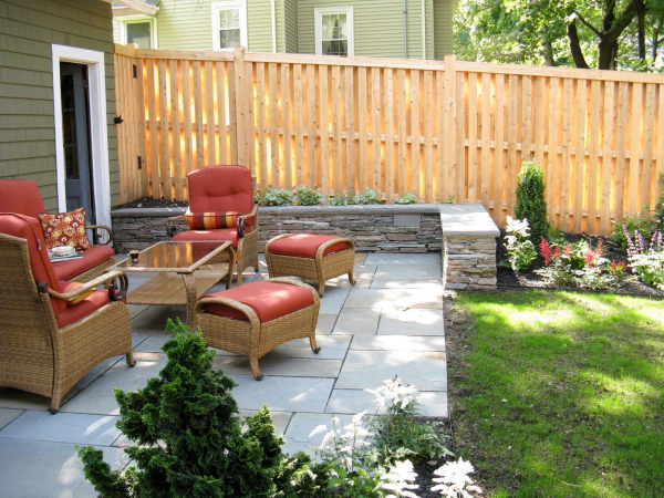 Foreman's Favorite- Dwarf Hinoki Cypress