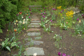 fall garden clean up