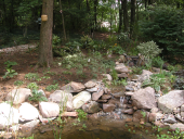 native rock garden