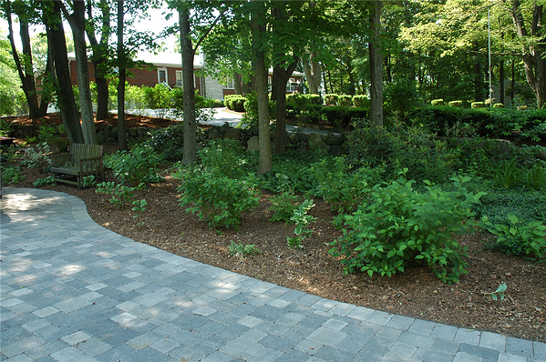 5 Super Easy Ways to Create Privacy in Your Backyard