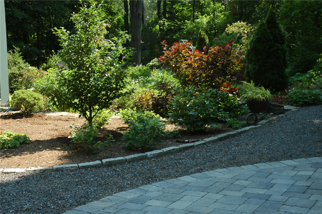 Little Known Ways to Select Foundation Plantings You Will Love