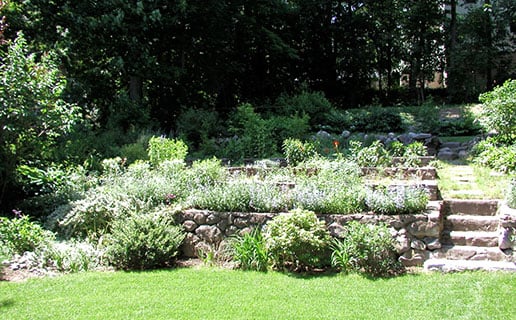 Do More Than Just Garden: 5 Tips for Creating a Relaxing & Remedial Landscape