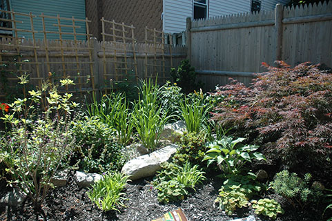 garden2_8.jpg