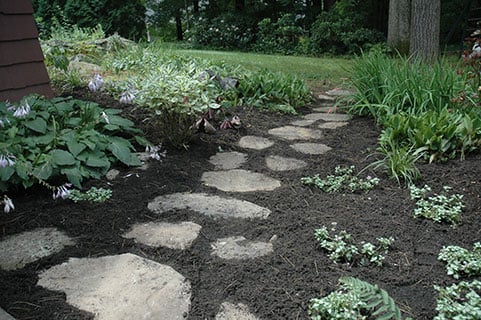 garden soil and hardscape.jpg