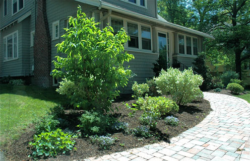 curb appeal ideas