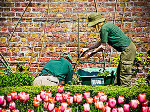 finding a garden designer