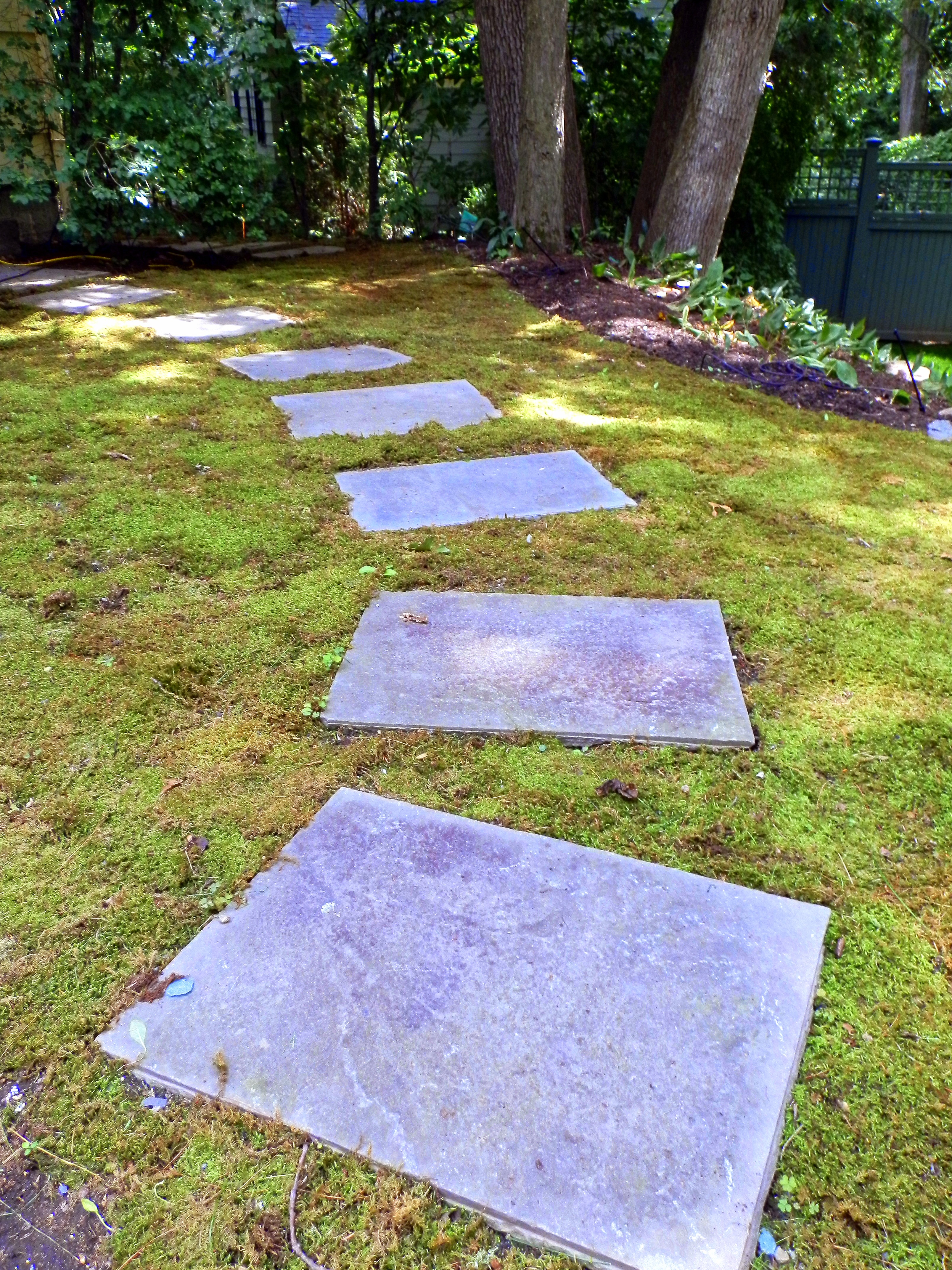 free download moss lawn