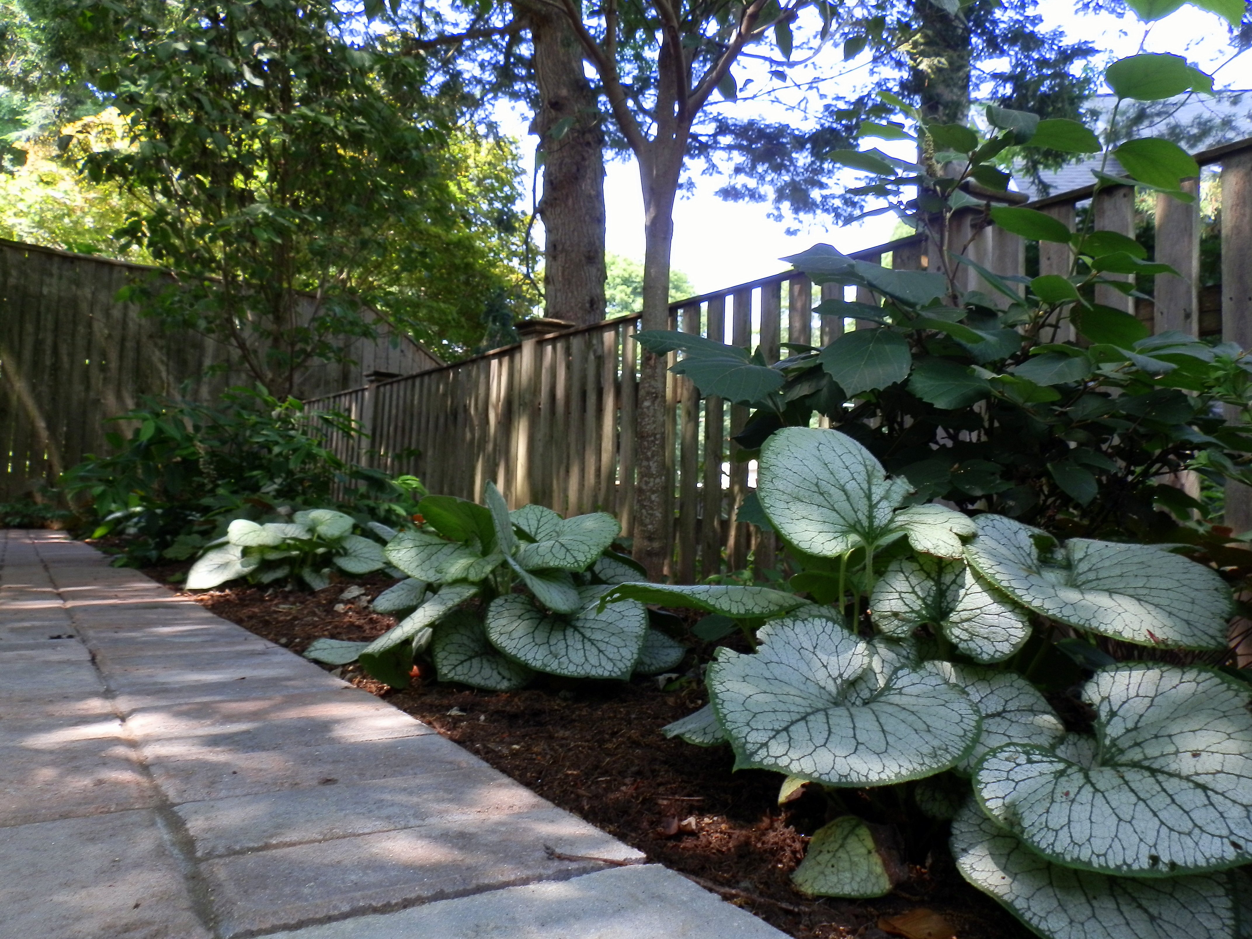 Customized Shade Garden Design