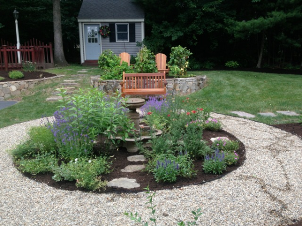 Companion Planting with New England Native Plants