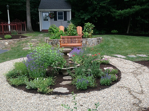 New England native plants