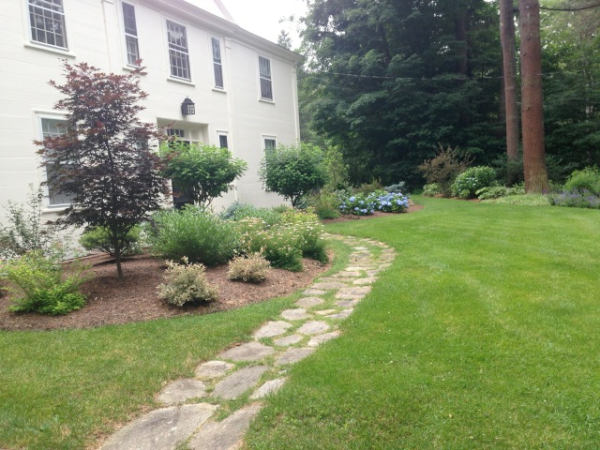 Front entrance landscape design- one year later..