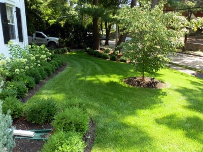 Six Advantages of Custom Landscaping Services