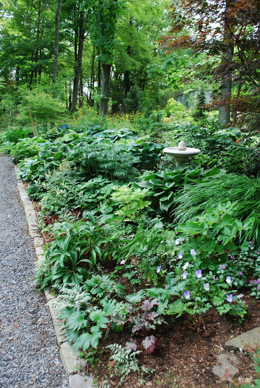 Is a shade garden design best for you?