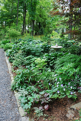 shade perennial garden lexington ma