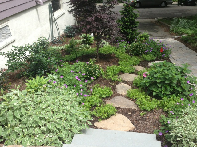 3 Rules for an Effortless and Stress-free Landscape Project