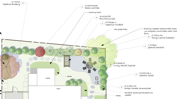 fruit and vegetable garden layout