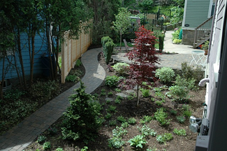 backyard privacy landscaping ideas