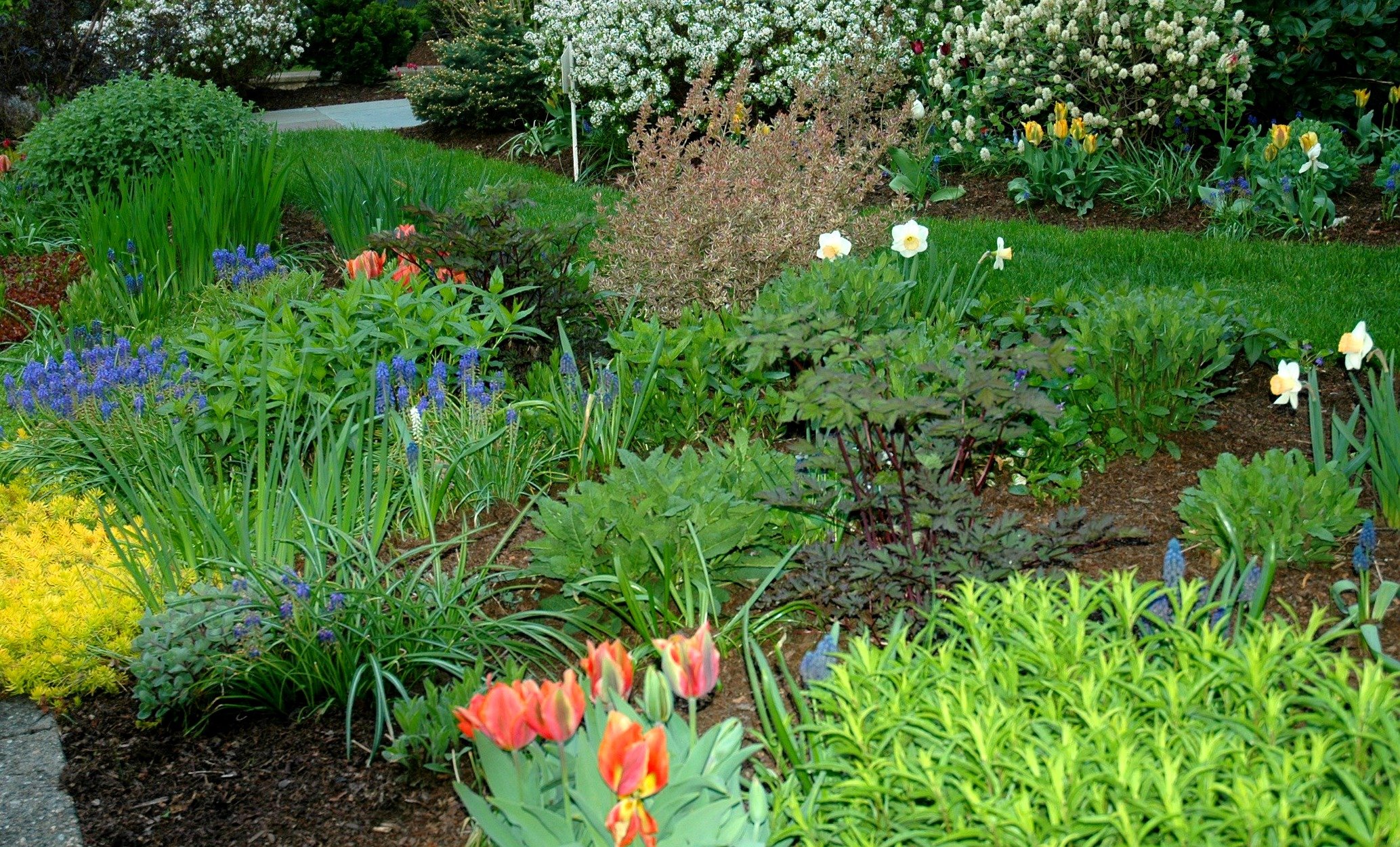 The Mindful Homeowner's Guide to Transformative Landscape Design