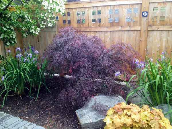 relaxing backyard landscaping ideas