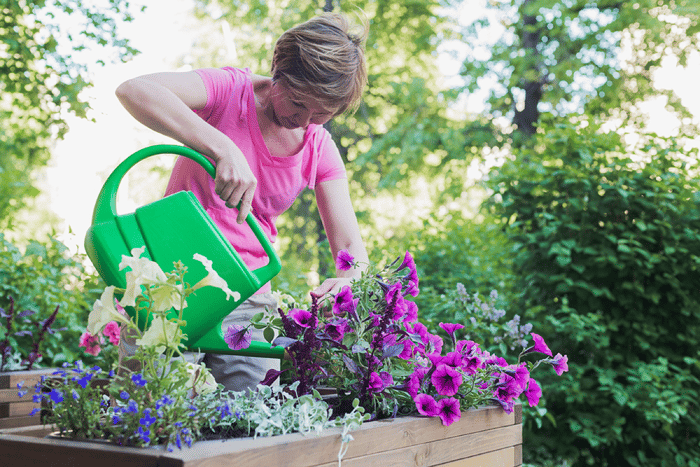 annual-container-garden