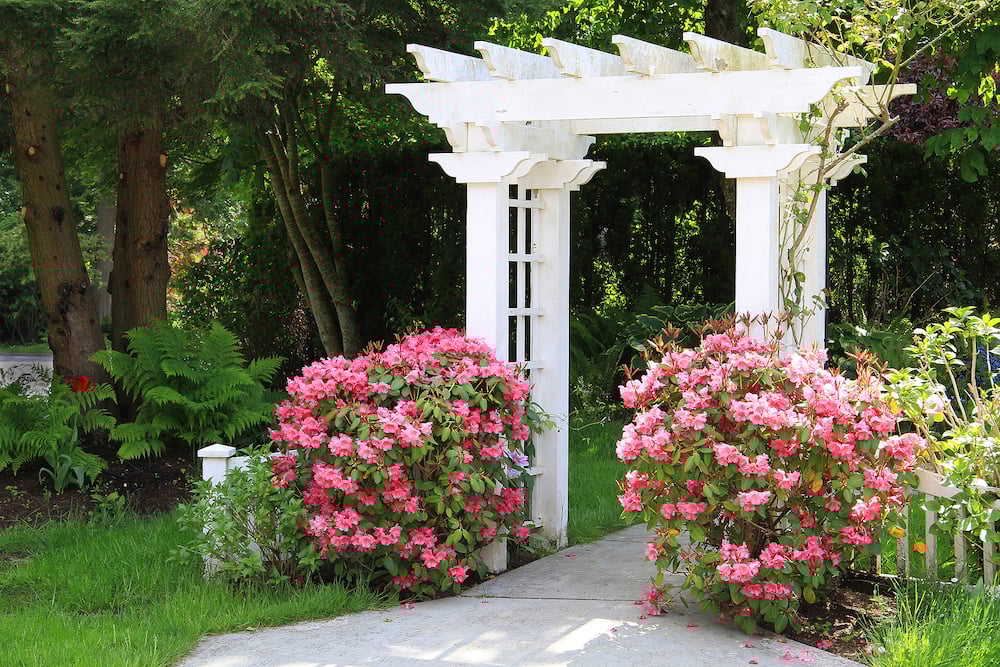 arbor-with-pink-flowers