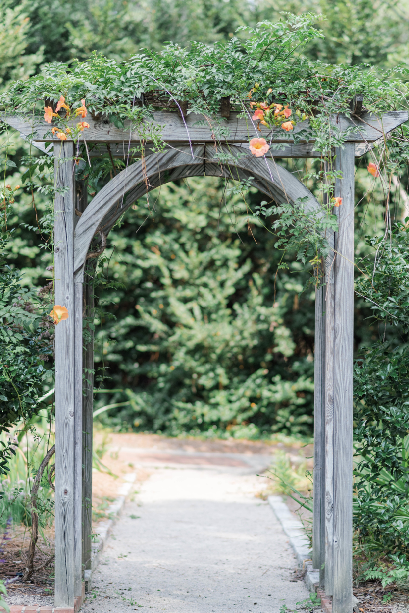 using arbors and pergolas to add shade and visual interest in the garden