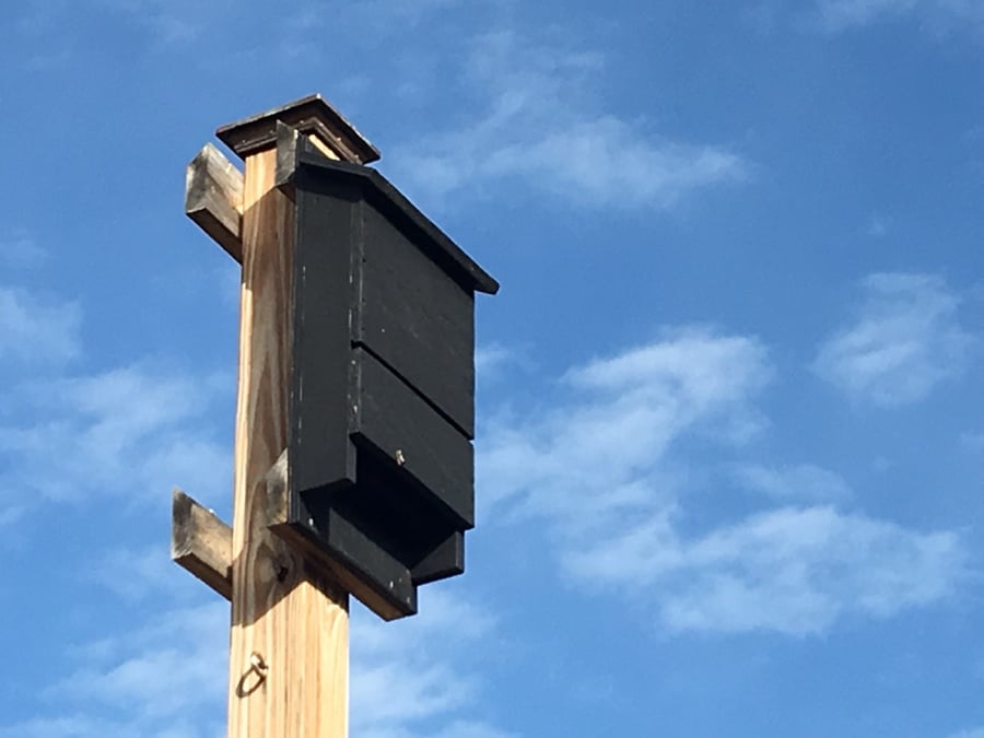 bat-house