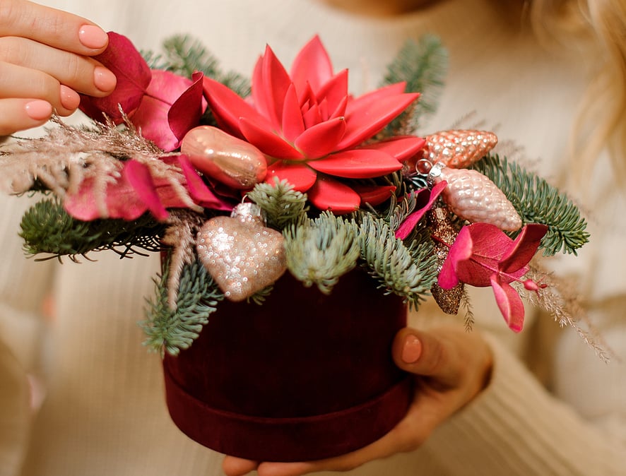 christmas-plants-succulents-centerpiece
