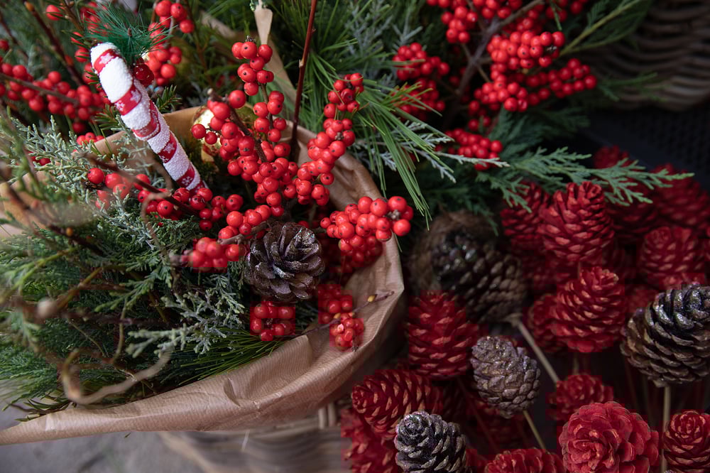 festive christmas plants winterberry holly