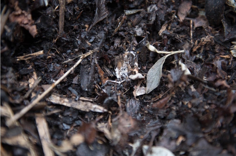 the key to composting