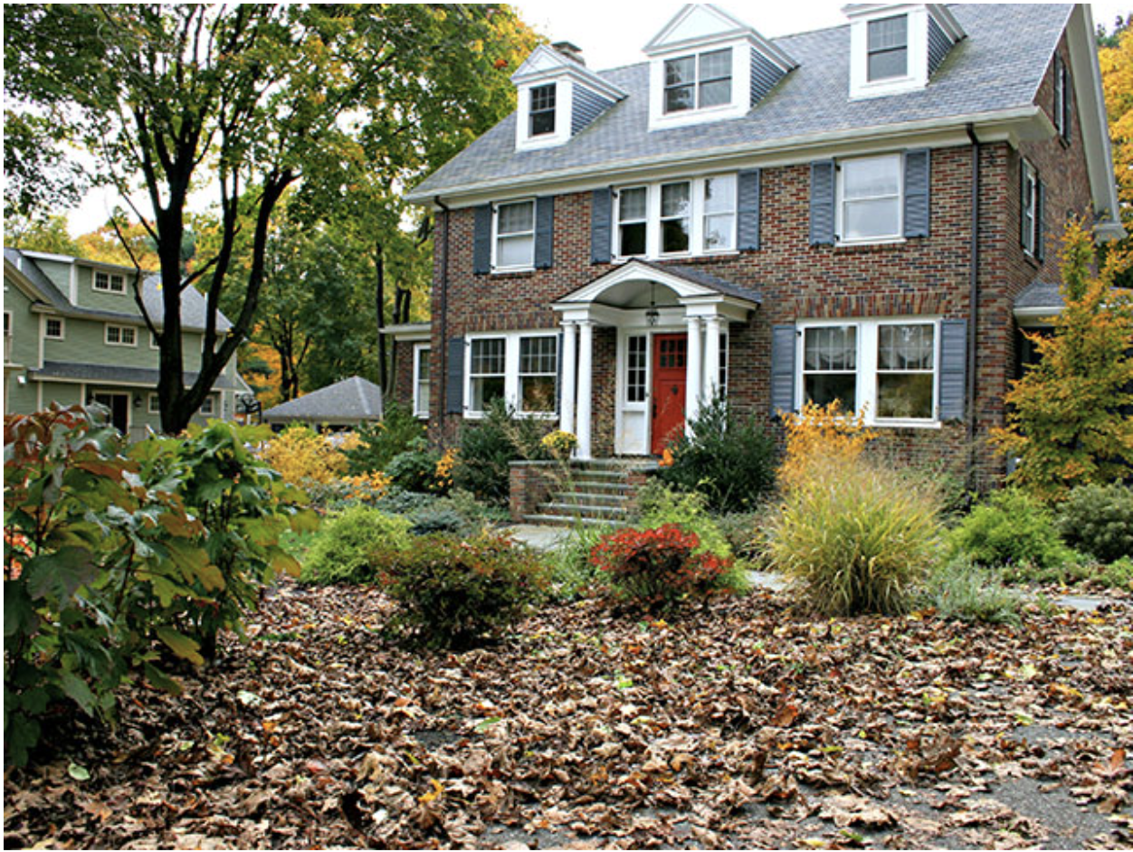 green fall lawn cleanup: tips to keep your yard looking great