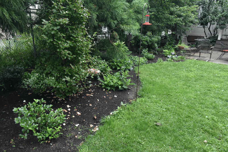 Landscape Design Ideas You'll Love to Know
