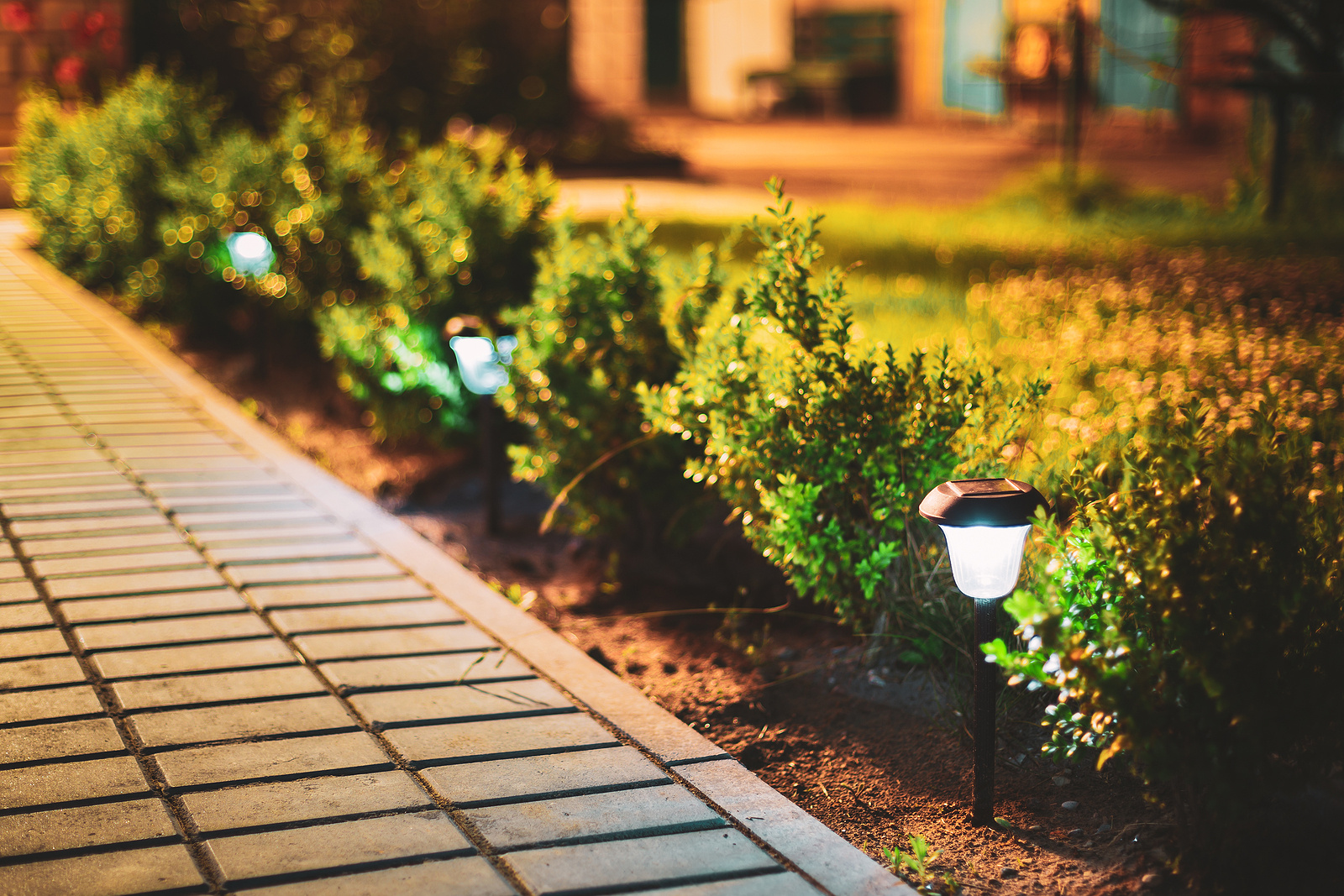 landscape-lighting-pathway