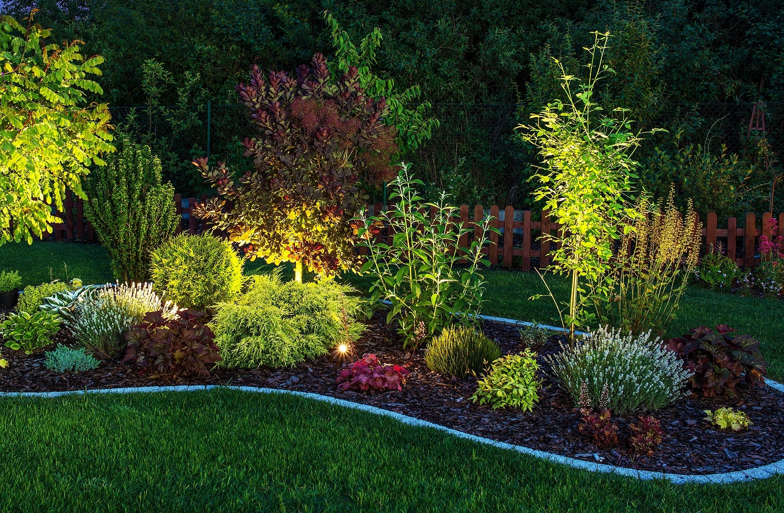 landscape-lighting-uplighting