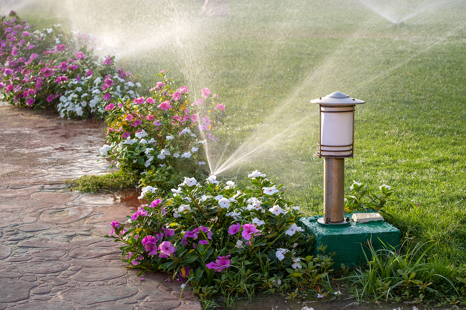 lawn-sprinkler