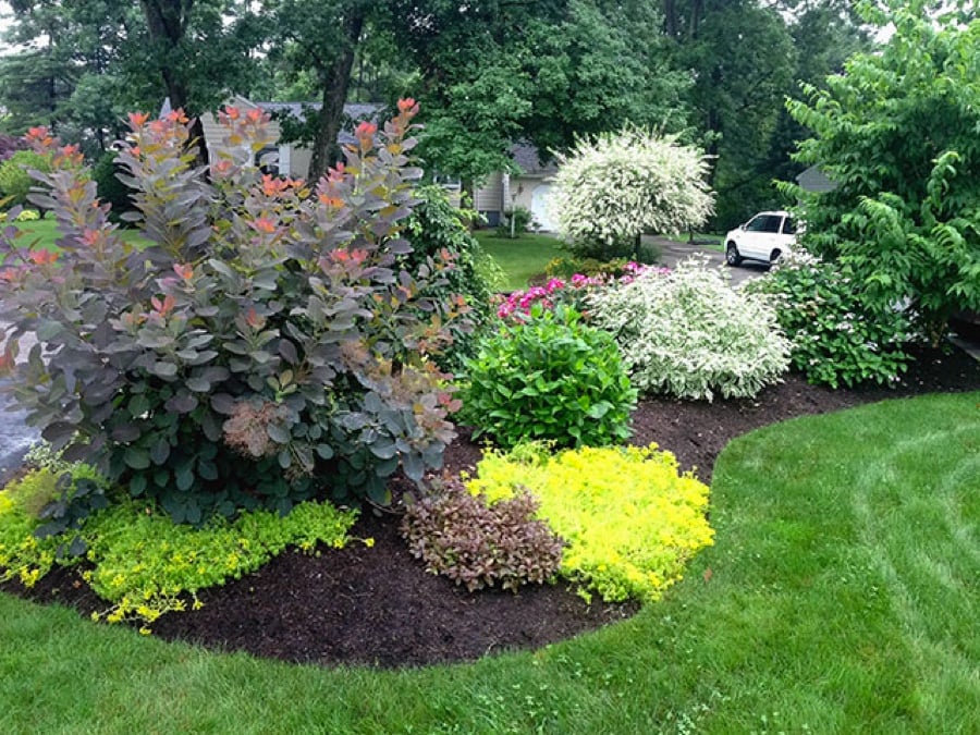 multiple-colored-front-yard