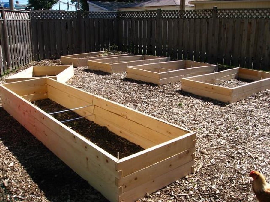 organic-vegetable-garden-raised-beds