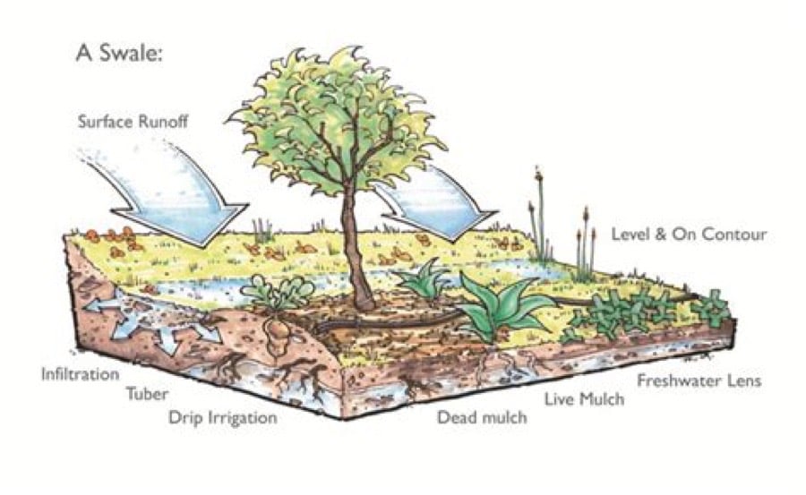 rainwater-swale