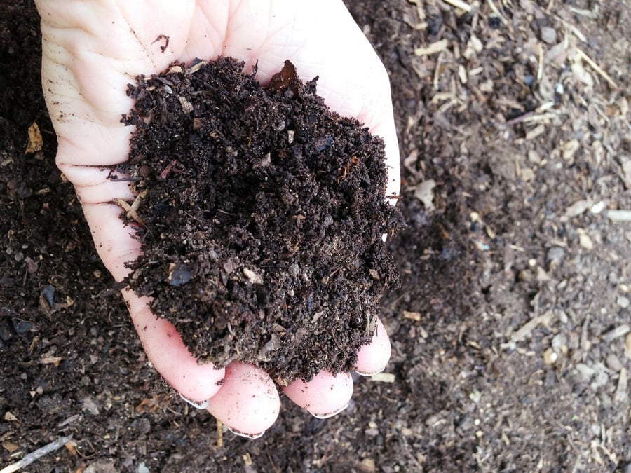 compost