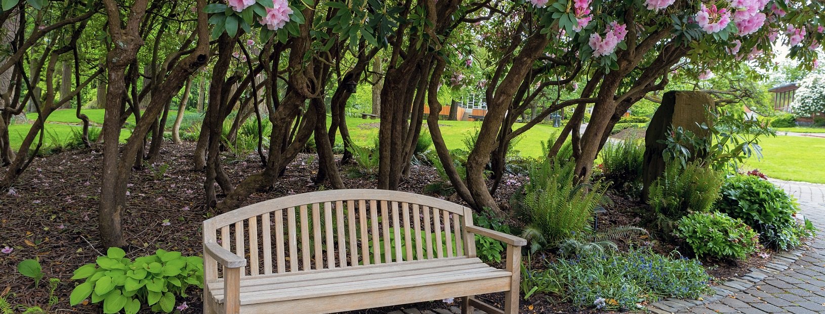 contemplation garden with bench