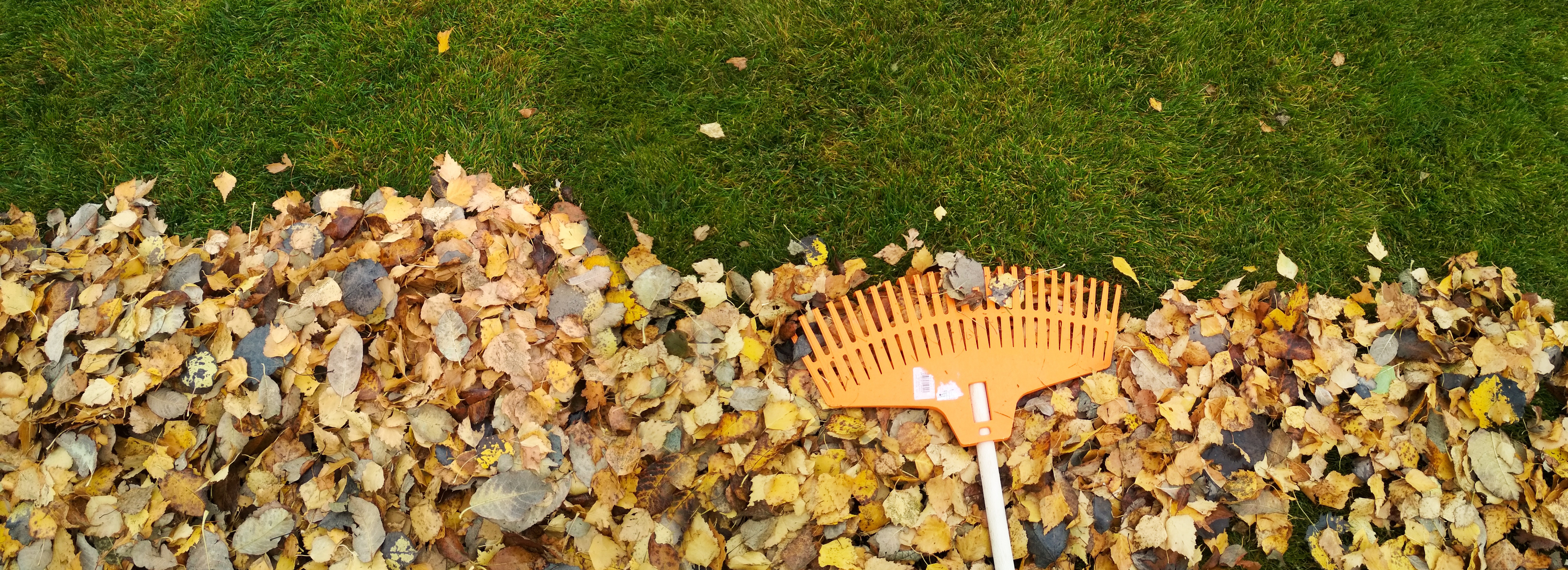 fall-clean-up-raking-leaves-1